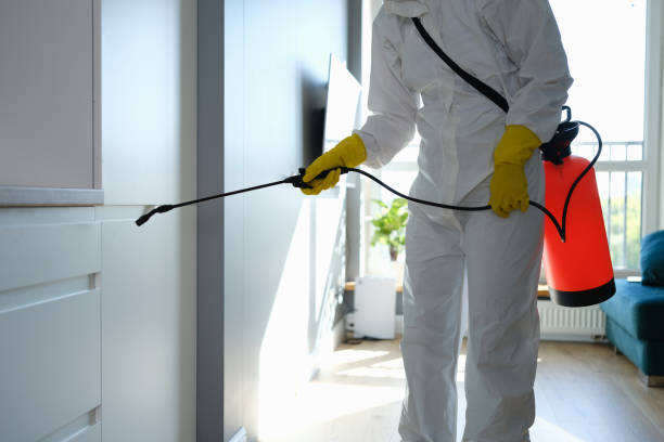 Tifton, GA Mold Removal Company