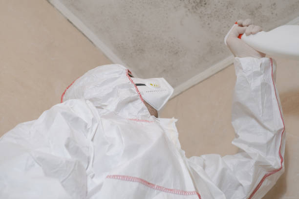 Crawl Space Mold Removal in Tifton, GA
