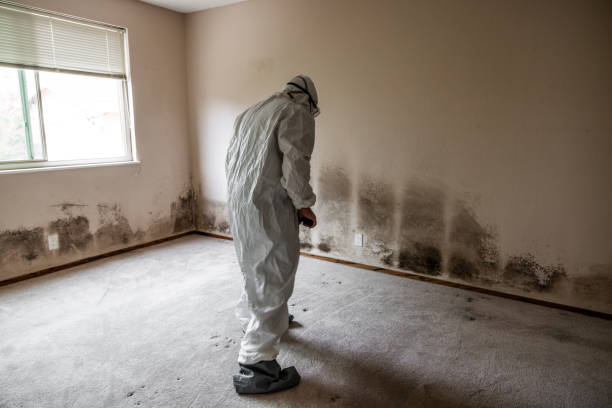 Best Mold Testing  in Tifton, GA